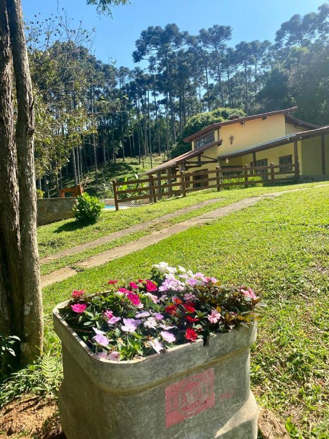 מונטה ורדה Casa De Campo Vizinha Da Lua מראה חיצוני תמונה